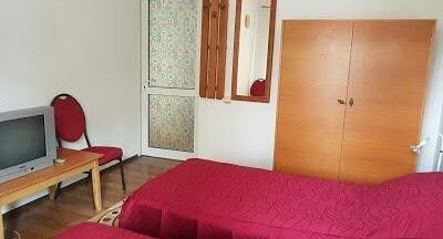 Apartman s balkónem pro 4 os. s 1 ložnicí na poschodí - Pensiunea Agroturistica Piscul Soarelui Câmpulung, foto 1