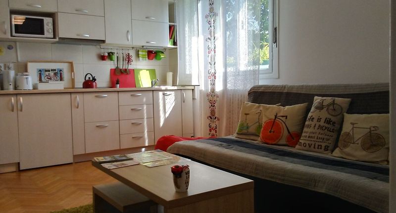 Apartman pro 4 os. se 2 ložnicemi - B Apartments - Bike Apartment Timișoara, foto 1