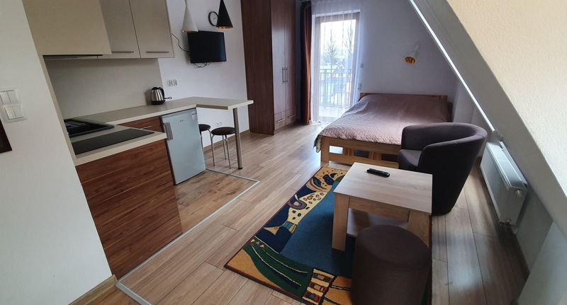 Apartman s balkónem s vlastní kuchyňkou s manželskou postelí s 1 ložnicí - Apartamenty CEDE Zakopane, foto 8