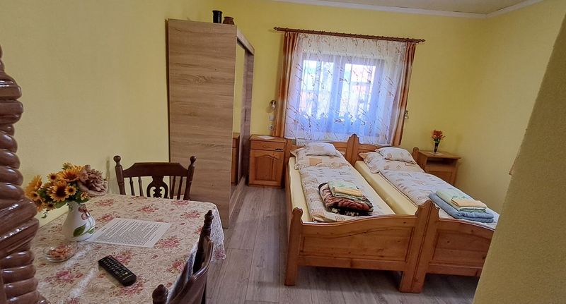 Pokoj s koupelnou pro 2 os. na přízemí - Casă de oaspeți Csergő Ildikó Lăzarea, foto 1