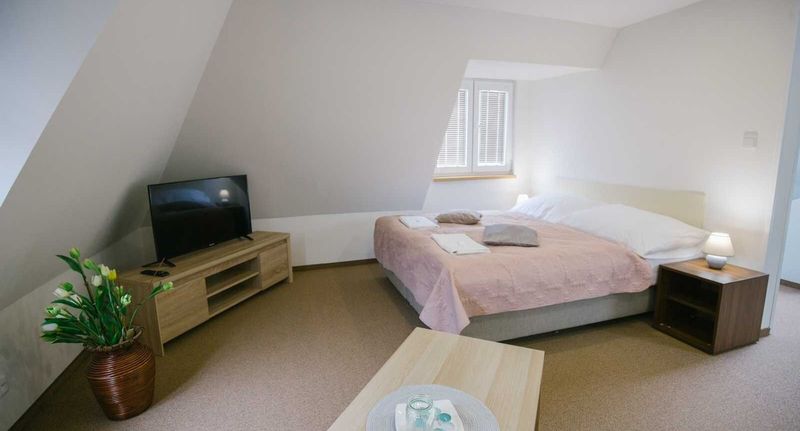 Apartman se sprchou s vlastní kuchyňkou pro 3 os. (s možností přistýlky) - Villa Šimák Doksy, foto 1