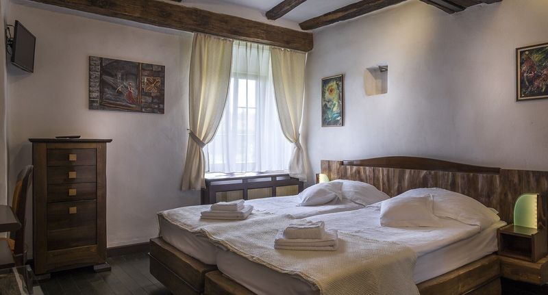 Standard Pokoj pro 2 os. - Castel Hotel Daniel Tălișoara, foto 1