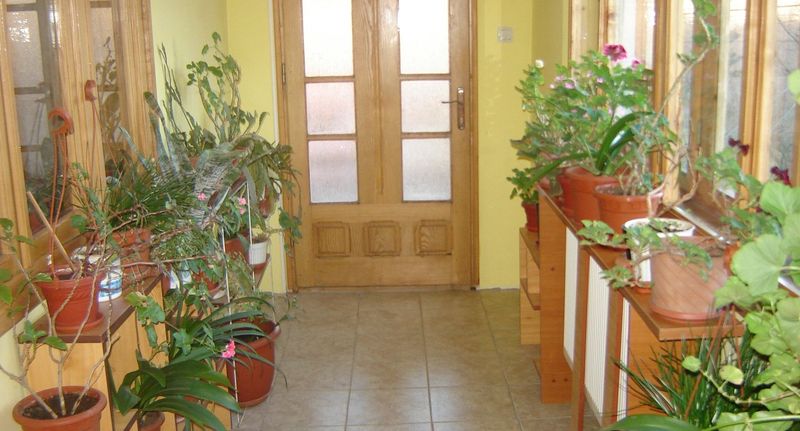 Pokoj s balkónem pro 4 os. na poschodí (s možností přistýlky) - Pensiunea Nicky Oeștii Ungureni, foto 1
