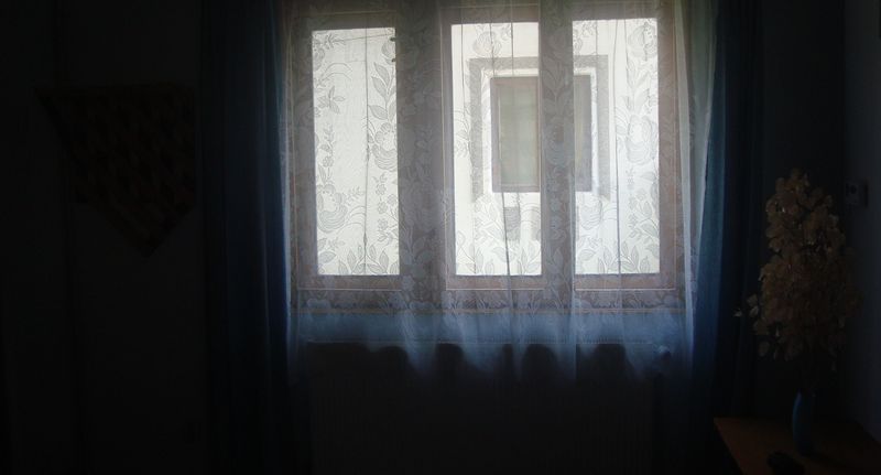 Pokoj s terasou pro 3 os. (s možností přistýlky) - Pensiunea Nicky Oeștii Ungureni, foto 1