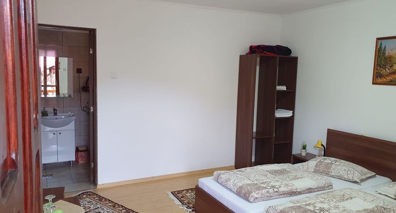 Pokoj s koupelnou s manželskou postelí - Pensiune Andi & Bogi Corund, foto 5