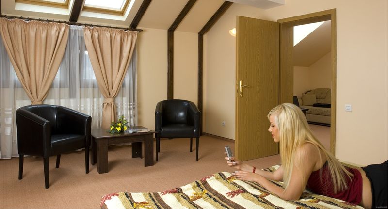 Standard Family Apartman pro 3 os. s 1 ložnicí - Pensiune Ambient Brașov, foto 1
