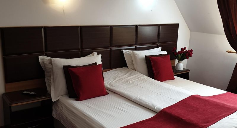 Pokoj s koupelnou s manželskou postelí - Hotel Belvedere Vatra Dornei, foto 1
