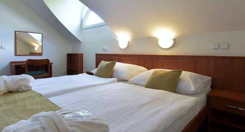 Apartman s koupelnou s manželskou postelí s 1 ložnicí celý Dům - Spa Resort Libverda - Hotel Panorama Lázně Libverda, foto 1