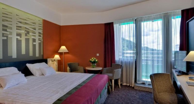 Deluxe Pokoj pro 2 os. - Bradet Ensana Hotel Sovata, foto 1