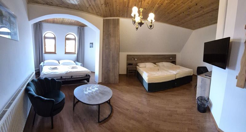 Pokoj se sprchou s manželskou postelí (s možností přistýlky) - Hotel Tři Věžičky Střítež, foto 1