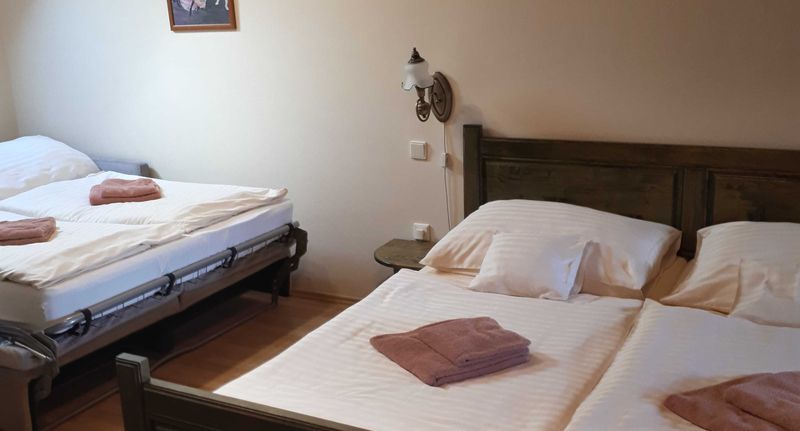 Pokoj s manželskou postelí (s možností přistýlky) - Hotel Tři Věžičky Střítež, foto 4