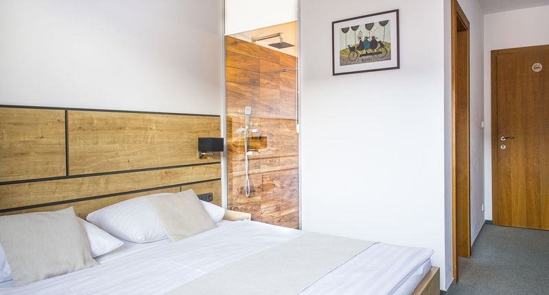 Deluxe Pokoj s manželskou postelí přízemní - Penzion Darinka Poprad, foto 1