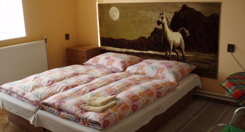 Pokoj se sprchou pro 3 os. - Penzión Sypanec Spišský Hrušov, foto 1