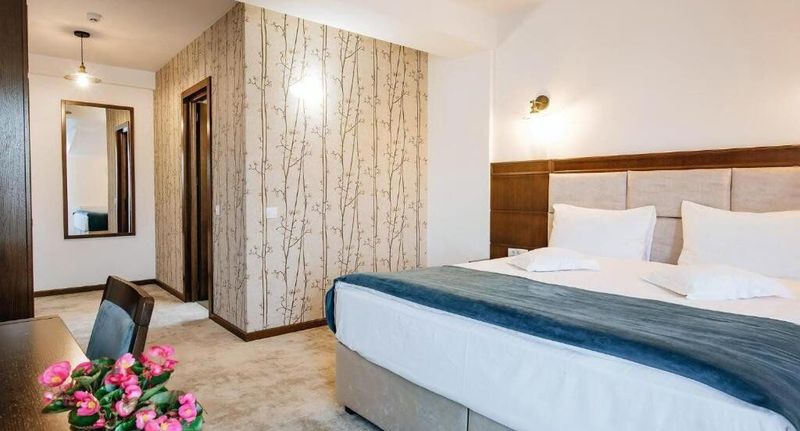 Pokoj s balkónem s manželskou postelí - Hotel Buchenland Gura Humorului, foto 1