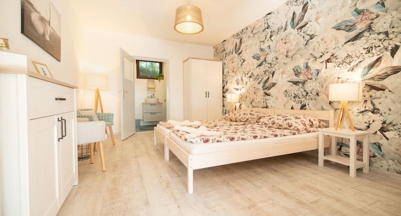 Superior Apartman s manželskou postelí s 1 ložnicí s výhledem na les - Natura Apartman Tiszafüred, foto 1