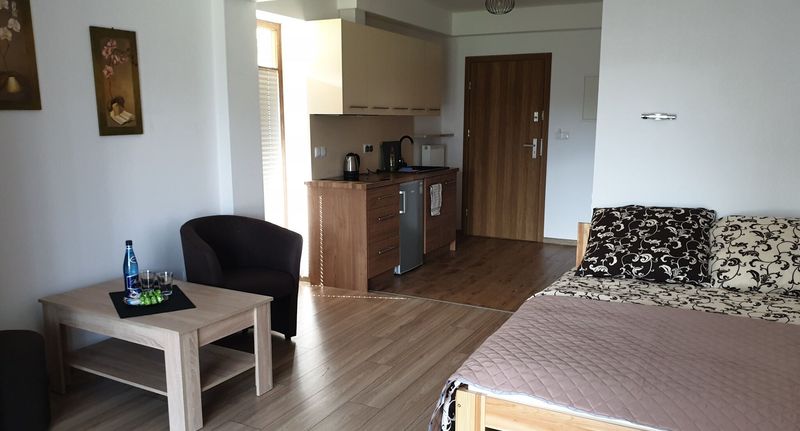 Apartman s balkónem s koupelnou s manželskou postelí s 1 ložnicí - Apartamenty CEDE Zakopane, foto 1