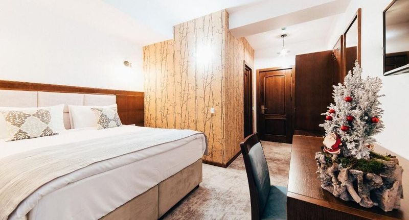Economy Pokoj s manželskou postelí - Hotel Buchenland Gura Humorului, foto 1