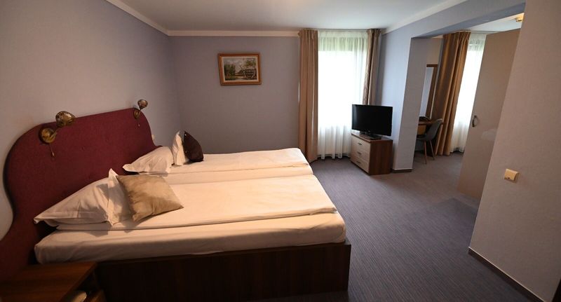 Superior Pokoj pro 2 os. - Hotel Conacul Domnesc Șcheia, foto 1