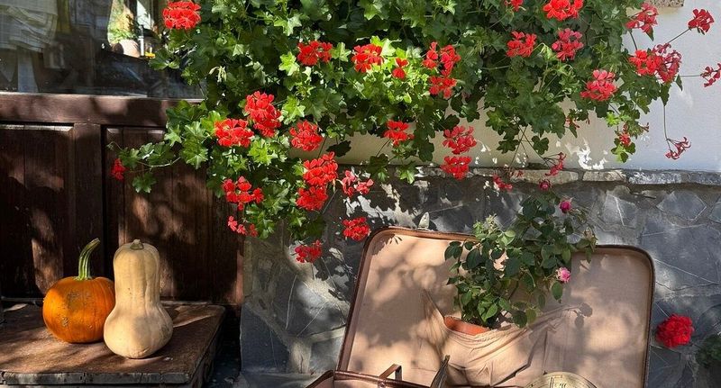 Manzárd Pokoj se sprchou pro 3 os. (s možností přistýlky) - Pensiunea Turistică Anotimpuri Predeal, foto 1