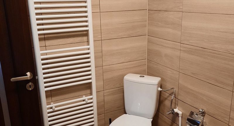 Family Rodinný Rekreační dům (jako celek) pro 6 os. - Casa Dumitru si Elena Ciocănești, foto 1