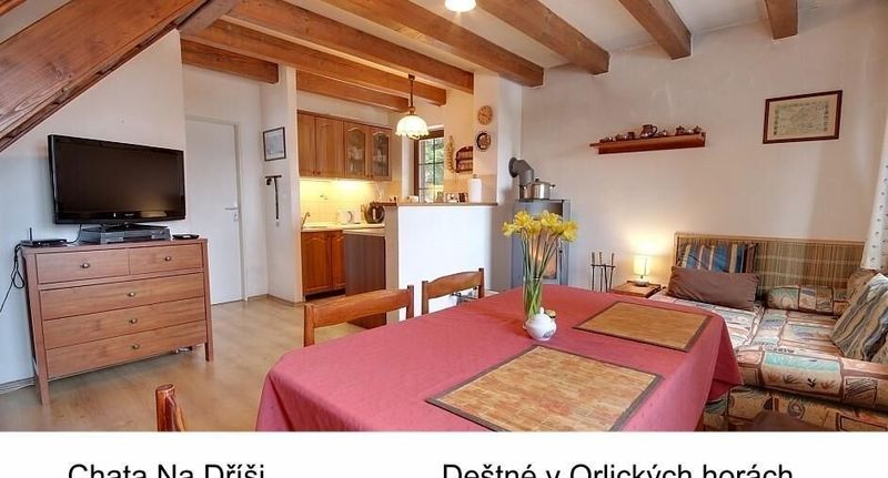 Chata (jako celek) se sprchou s privátní koupelnou mimo apartmán pro 8 os. - Chata Na Dříši Deštné v Orlických horách, foto 1