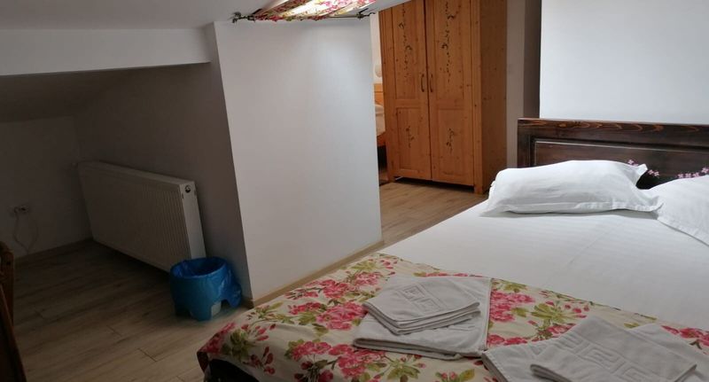 Suita pro 4 os. s 1 ložnicí v podkroví - Pensiunea Geostar Curtea de Argeș, foto 1