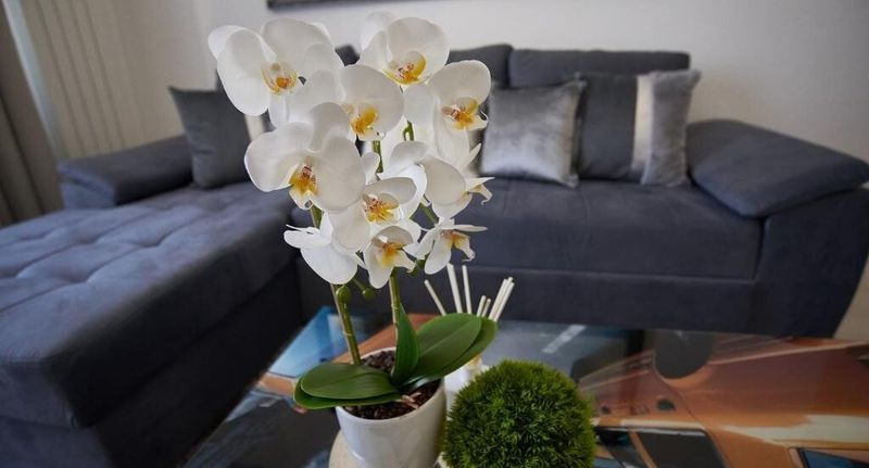 Superior Apartman pro 4 os. s 1 ložnicí - Metropole Apartments Old Town București, foto 1