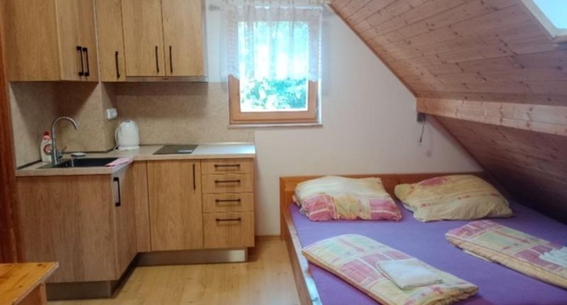 Pokoj se sprchou s manželskou postelí na poschodí - Wellness penzion EVA + Apartmány Pod Čerťákem Dolní Moravice, foto 1