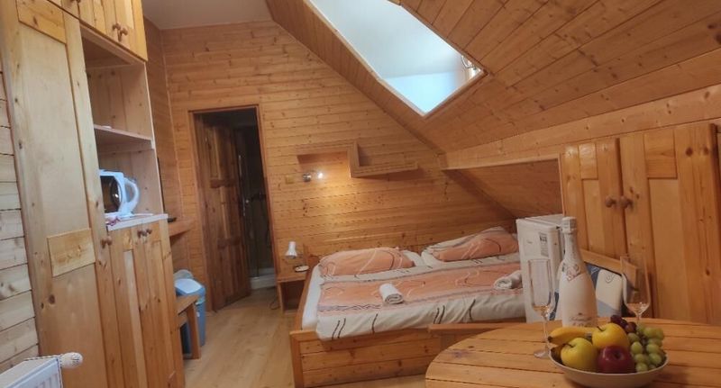 Pokoj s balkónem s manželskou postelí - Wellness penzion EVA + Apartmány Pod Čerťákem Dolní Moravice, foto 1