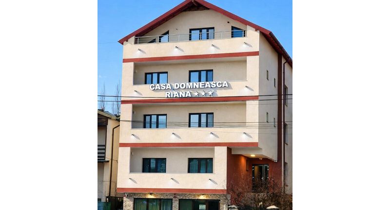 Pokoj pro 2 os. - Pensiunea Casa Domneasca Riana Pitești, foto 1