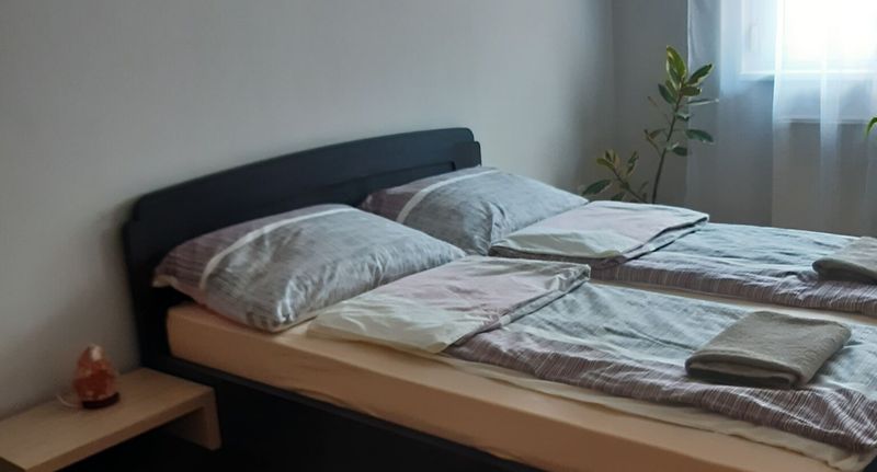 Komfort Rodinný Apartman pro 4 os. s 1 ložnicí - Tukán Apartman Hajdúszoboszló, foto 1
