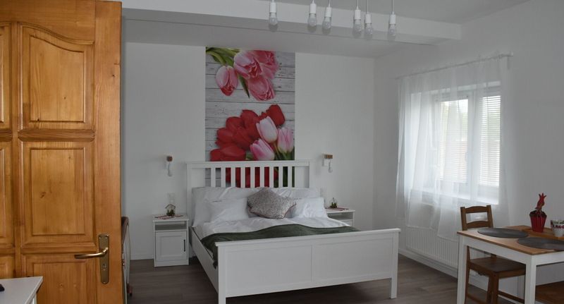 Pokoj s manželskou postelí - Farmerland Villa Abádszalók, foto 1