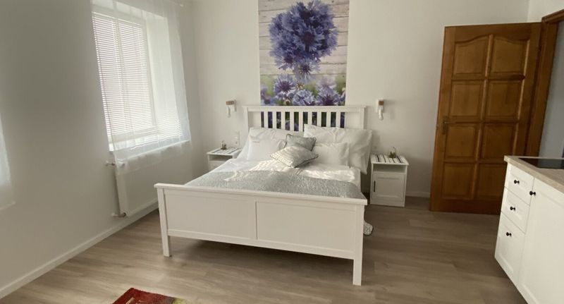 Pokoj bezbariérový s manželskou postelí - Farmerland Villa Abádszalók, foto 1