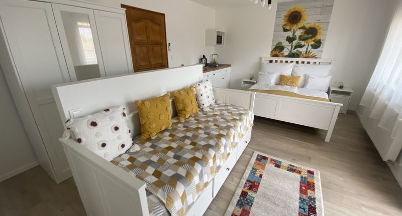 Pokoj s balkónem s klimatizací s manželskou postelí - Farmerland Villa Abádszalók, foto 1
