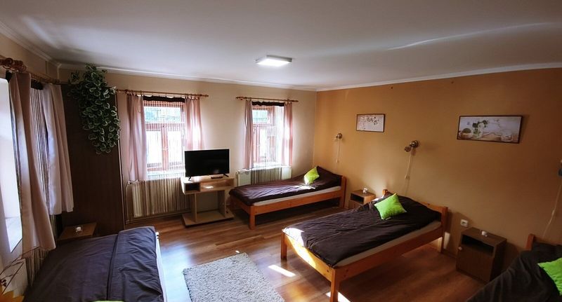 Rodinný Apartman (jako celek) pro 10 os. celý Dům - Viola Vendégház Sárospatak, foto 1
