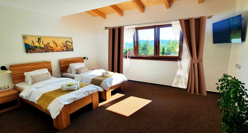 Superior Pokoj se sprchou s manželskou postelí (s možností přistýlky) - Hotel Farma Vysoká Chrastava, foto 1