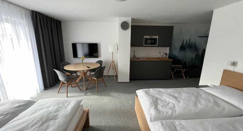 Apartman se sprchou s vlastní kuchyňkou pro 4 os. s 1 ložnicí - HOTEL VARNSDORF, foto 1