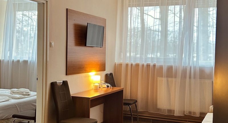 Standard Apartman s manželskou postelí s 1 ložnicí (s možností přistýlky) - Öreg-tó Hotel Tata, foto 1