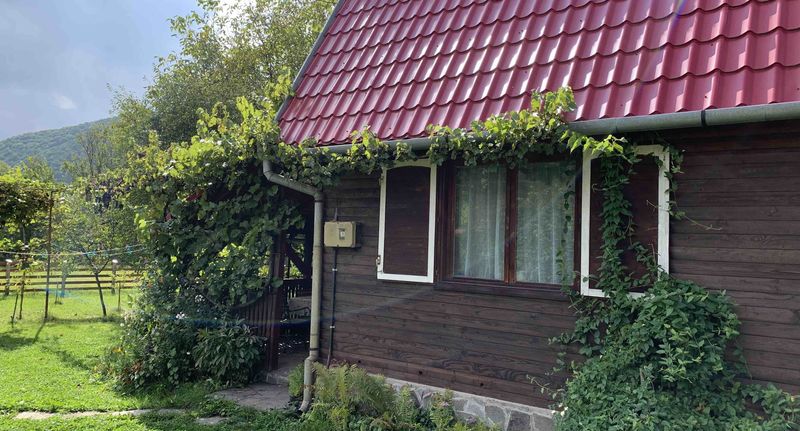 Roubenka (jako celek) se zahradou pro 8 os. s výhledem do zahrady - Cabana Kovács Mária Praid, foto 1