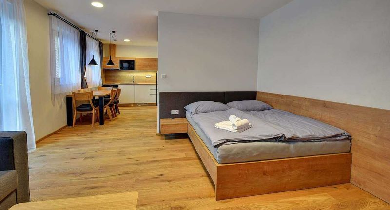 Apartman se sprchou s manželskou postelí s 1 ložnicí (s možností přistýlky) - Vila Rasola Malá Morávka, foto 1