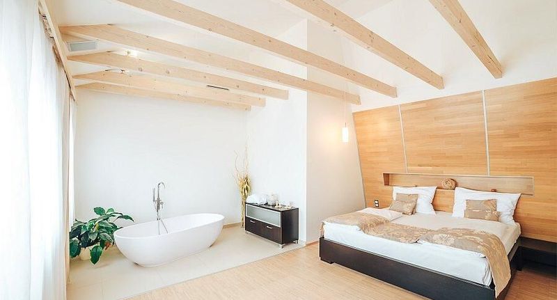 Pokoj se sprchou s klimatizací pro 2 os. - Hotel Biograf Písek II, foto 1