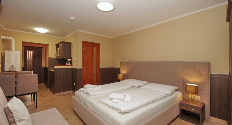Apartman s manželskou postelí s 1 ložnicí (s možností přistýlky) - Várfürdő Panzió Gyula, foto 1