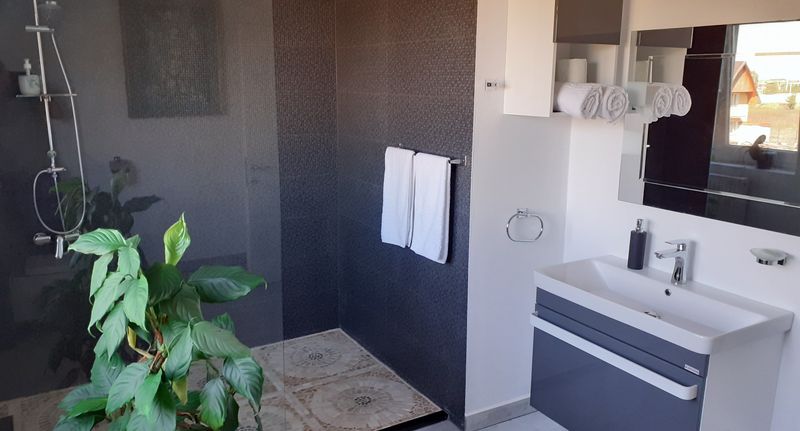 Deluxe Pokoj s balkónem s manželskou postelí - Pensiunea Salcia Tășnad, foto 1