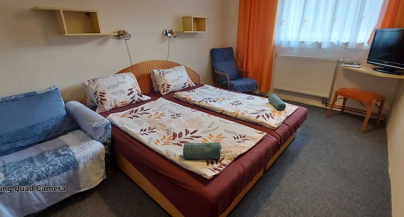 Pokoj se sprchou s manželskou postelí (s možností přistýlky) - Penzion Svojanov, foto 1