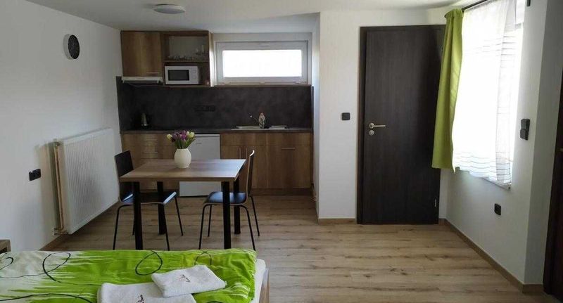 Pokoj se sprchou s privátní koupelnou mimo apartmán pro 4 os. - Penzion Burda Sepekov, foto 1