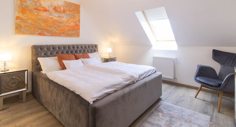 Apartman s manželskou postelí s 1 ložnicí - Bodrog Borműhely Vendégház Bodrogkisfalud, foto 13