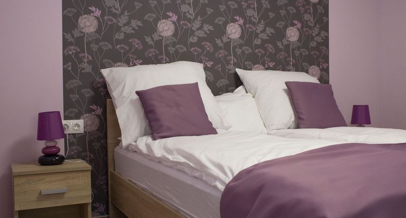 Apartman s manželskou postelí s 1 ložnicí s výhledem do dvora přízemní - Ilona Apartman Gyula, foto 1