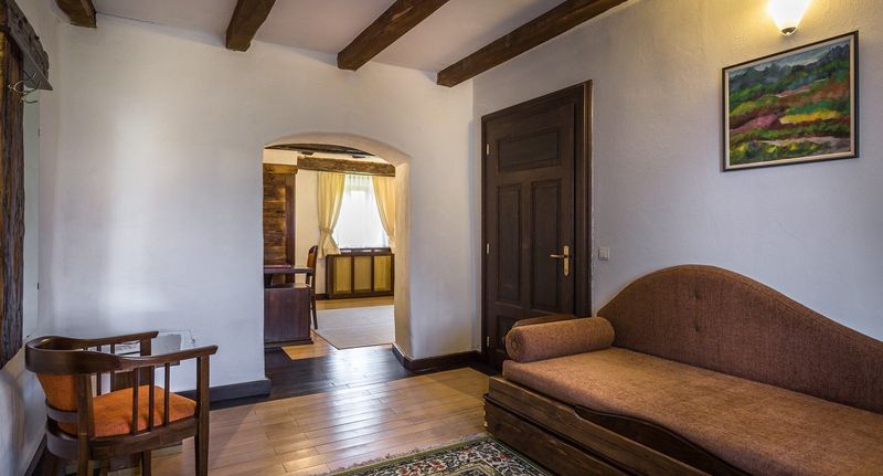Junior Pokoj s manželskou postelí - Castel Hotel Daniel Tălișoara, foto 1