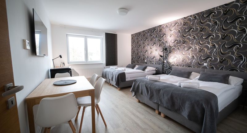 Apartman s klimatizací pro 4 os. s 1 ložnicí - Garni Hotel Svitavy, foto 1