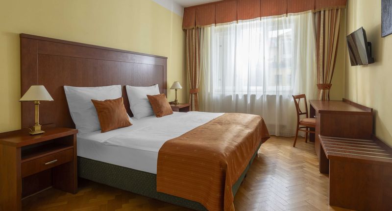 Pokoj se sprchou s manželskou postelí (s možností přistýlky) - Hotel William Praha, foto 4